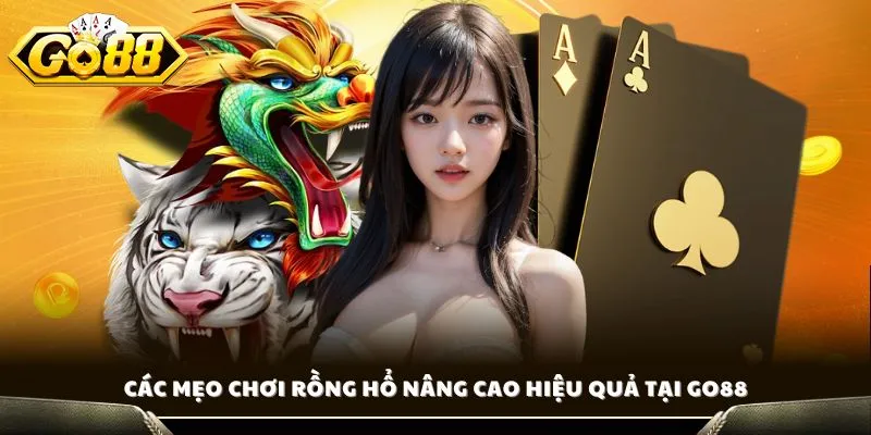 Các mẹo chơi Rồng Hổ nâng cao hiệu quả tại GO88